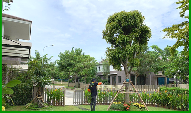 Tưới nước phù hợp với nhu cầu của cây